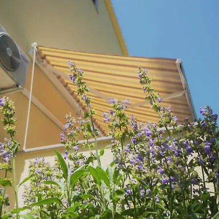 Apartment Porec 아파트 포레치